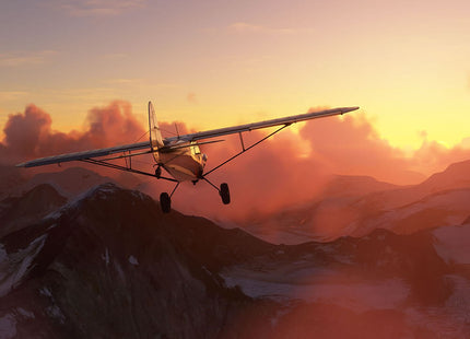 Flight Simulator