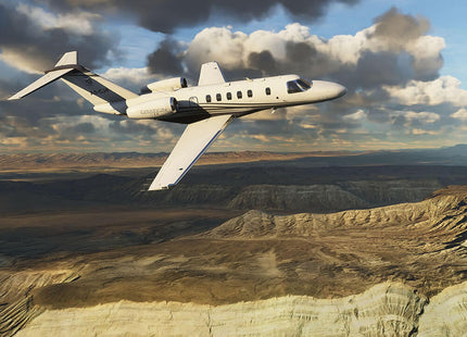 Flight Simulator