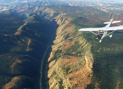 Flight Simulator