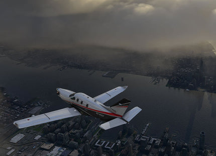 Flight Simulator
