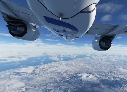 Flight Simulator